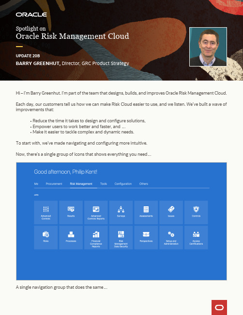 Oracle Risk Management Cloud用户指南说明书