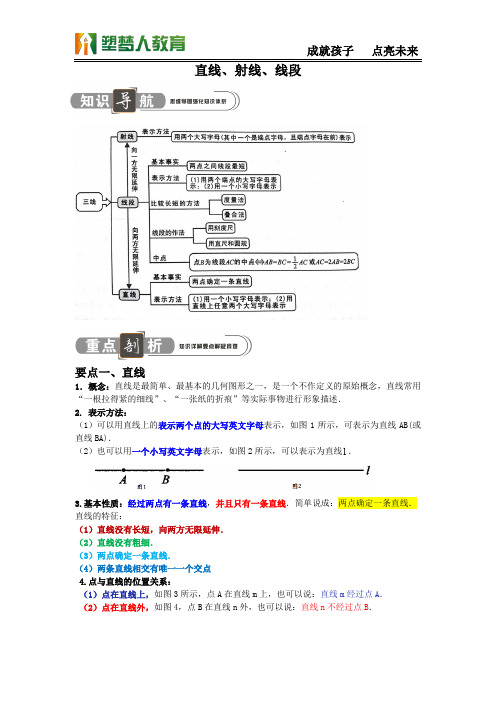 直线  射线  线段