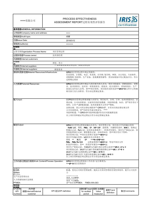 TS22163 过程有效性评价报告