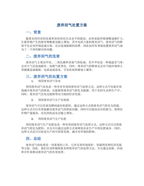 废弃沼气处置方案