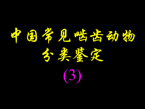 中国常见啮齿动物分类鉴定三[学习培训]