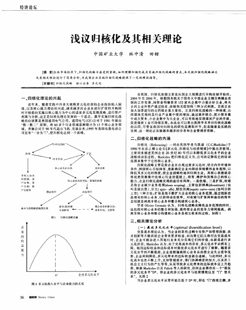 浅议归核化及其相关理论