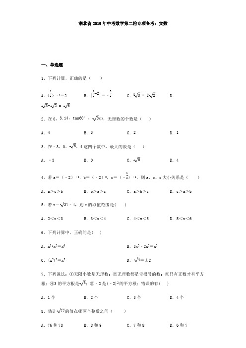 D_湖北省2019年中考数学第二轮专项备考：实数(含答案)