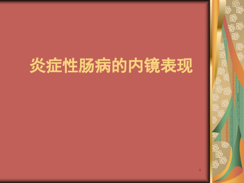 炎症性肠病的内镜表现ppt课件