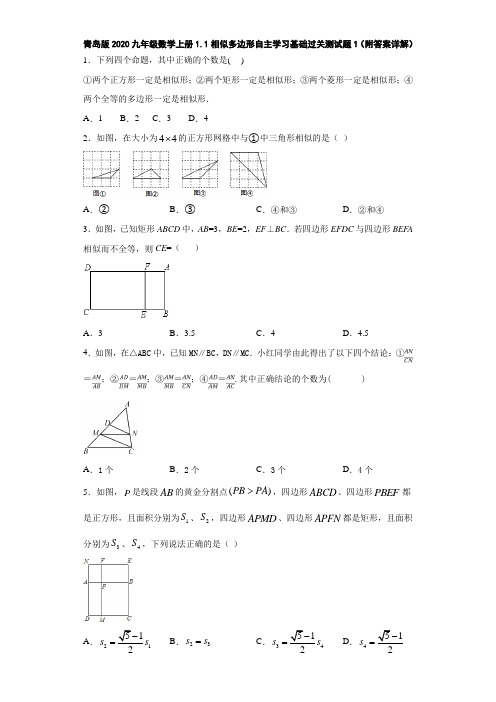 青岛版2020九年级数学上册1.1相似多边形自主学习基础过关测试题1(附答案详解)