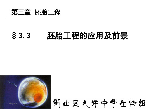 高中生物人教版选修3   3.3胚胎工程的应用及前景(共30张PPT)