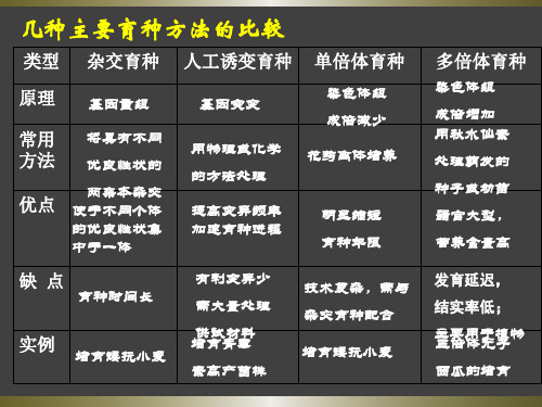 6.2基因工程及其应用课件