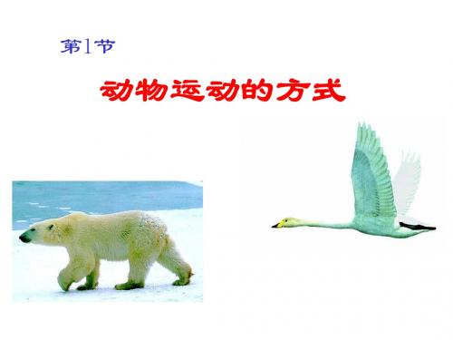 初中生物八上第五单元15.1《动物运动的方式》