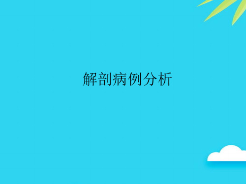 解剖病例分析优质PPT资料