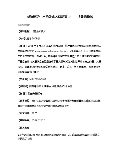 威胁棉花生产的外来入侵新害虫——扶桑绵粉蚧