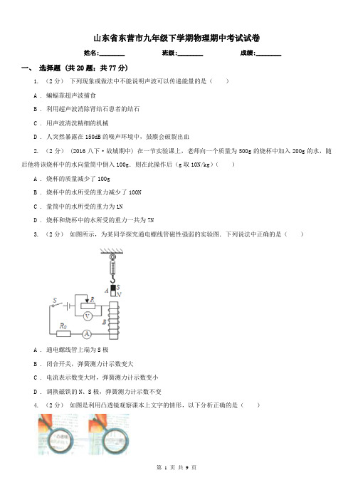 山东省东营市九年级下学期物理期中考试试卷