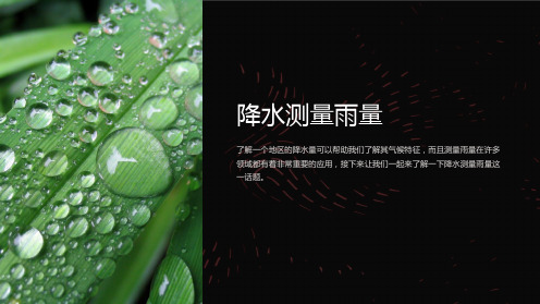 《降水测量雨量》课件