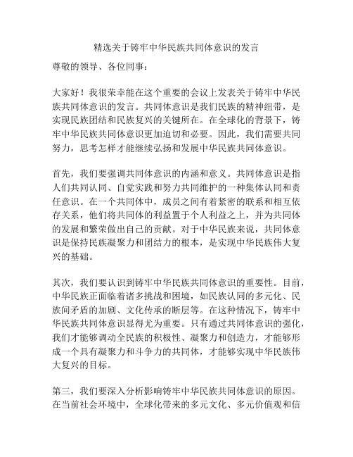 精选关于铸牢中华民族共同体意识的发言