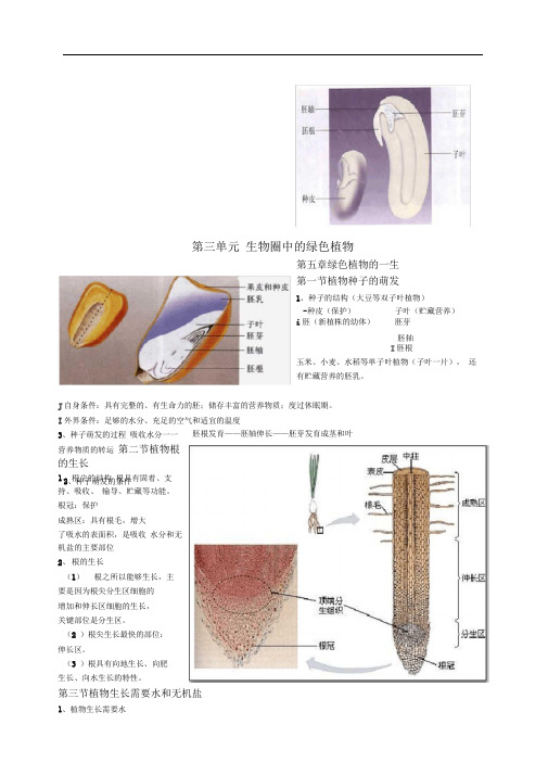 苏教版七年级上册生物复习提纲第三单元