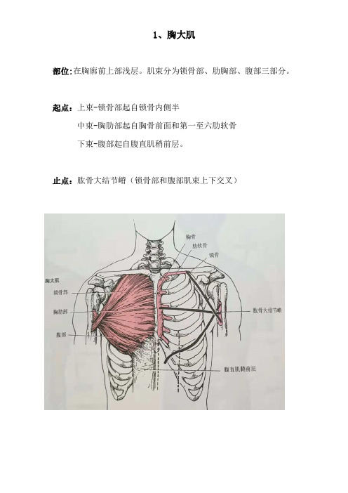 实操国职抗阻训练