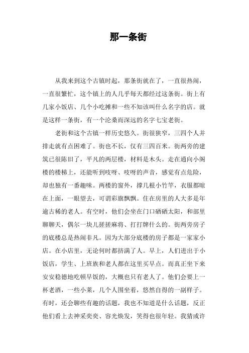 那一条街—作文