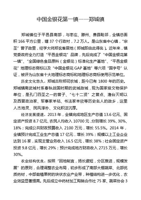 中国金银花第一镇1