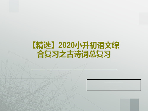 【精选】2020小升初语文综合复习之古诗词总复习50页文档