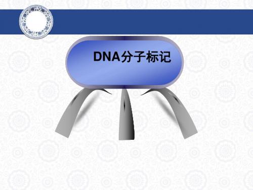 分子标记概述2003