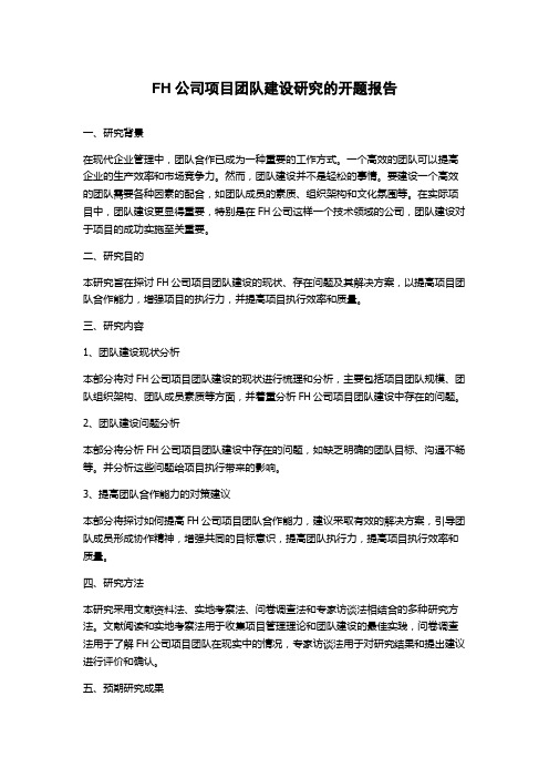 FH公司项目团队建设研究的开题报告