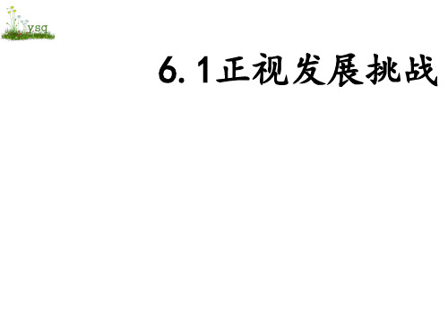 6.1正视发展挑战  优秀课件(21张PPT4个)