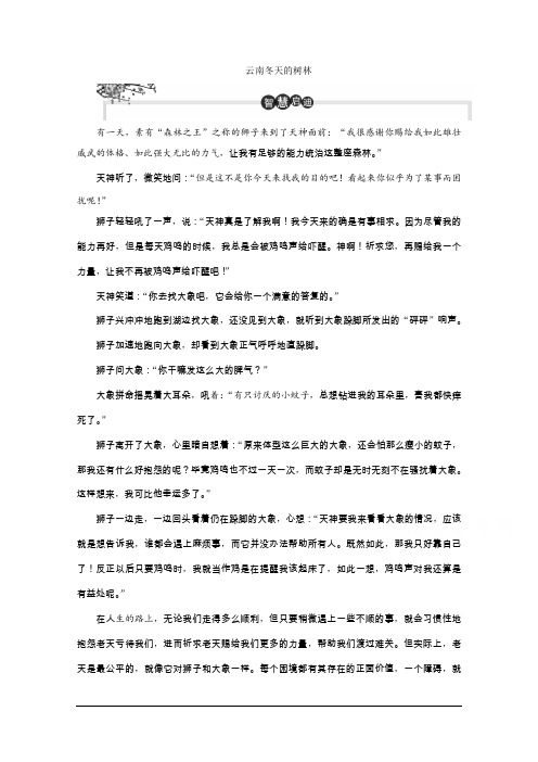 高中语文苏教版选修现代散文选读学案：第四单元 云南冬天的树林