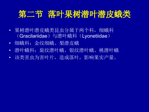 潜叶潜皮类害虫ppt课件