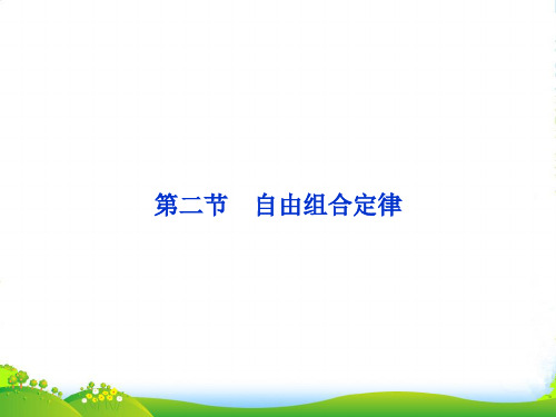 高考生物总复习 第一章第二节 自由组合定律课件 浙科必修2