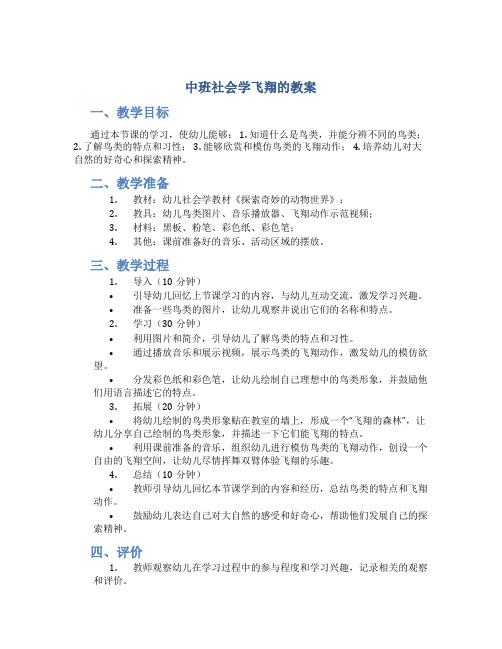 中班社会学飞翔的教案