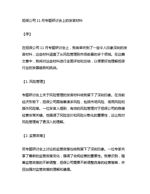 担保公司11月专题研讨会上的发言材料