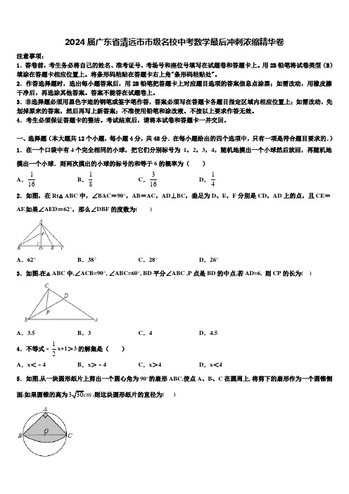 2024届广东省清远市市级名校中考数学最后冲刺浓缩精华卷含解析