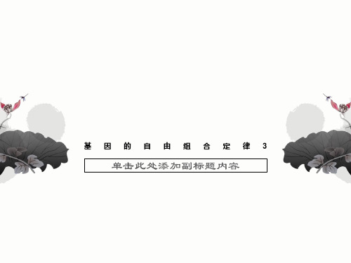 基因的自由组合定律3