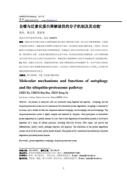 自噬与泛素化蛋白降解途径的分子机制及其功能