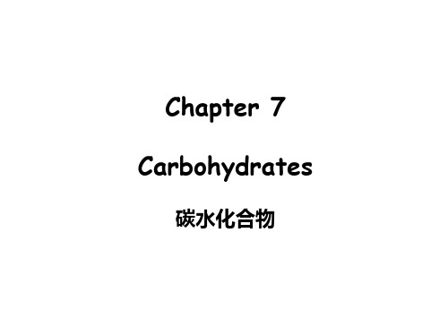 U340食品生物化学(英文)Chapter 7 carbohydrates