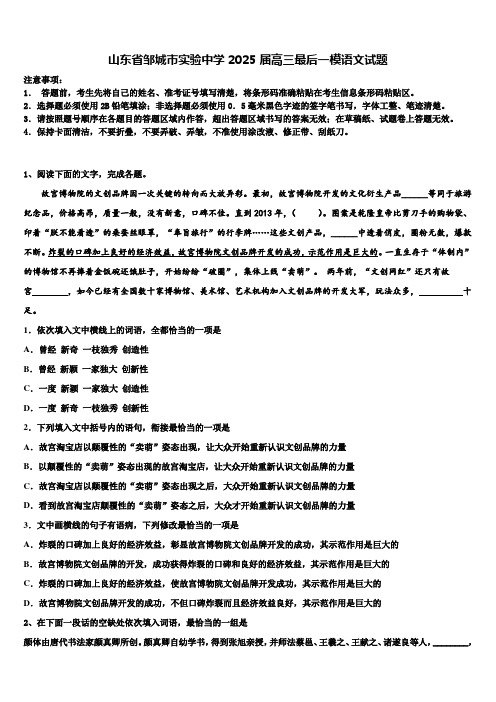 山东省邹城市实验中学2025届高三最后一模语文试题含解析