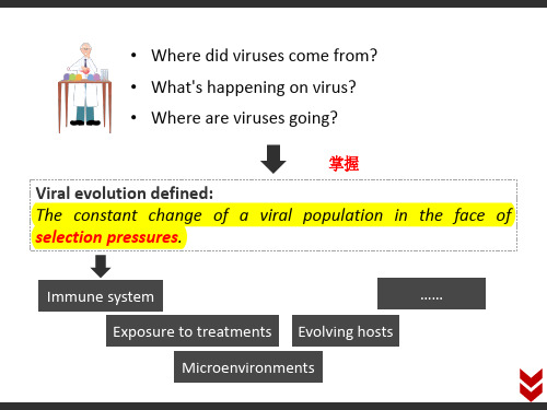 病毒学病毒进化