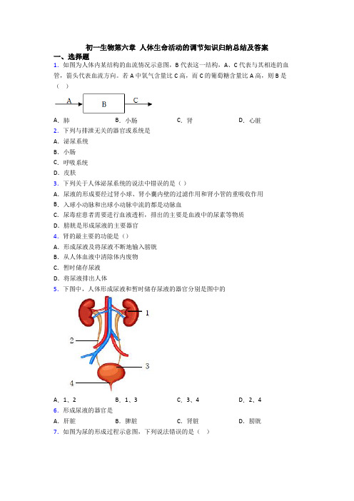 初一生物第六章 人体生命活动的调节知识归纳总结及答案