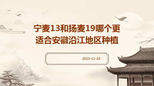 宁麦13和扬麦19哪个更适合安徽沿江地区种植