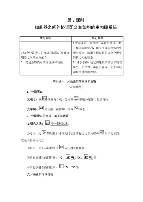 2020-2021学年  高中生物新人教版  必修一  3.2第2课时 细胞器之间的协调配合和细胞的生物膜系统 教案