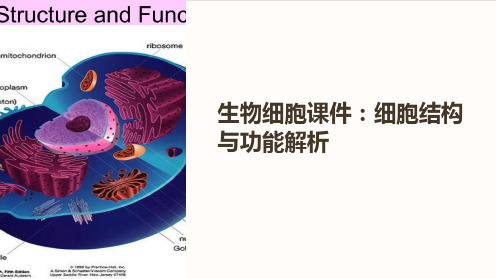 生物细胞课件：细胞结构与功能解析