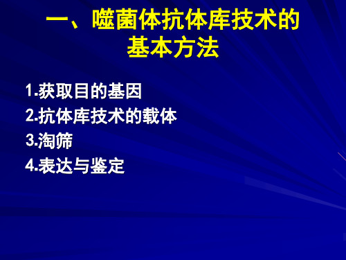 噬菌体抗体库技术的基本方法