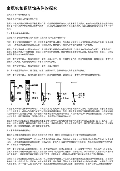 金属铁和铜锈蚀条件的探究