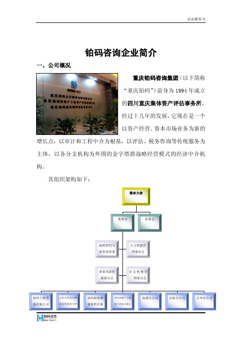 铂码集团——立信大华会计师事务所