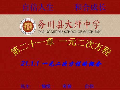 21.1.1一元二次方程的概念(1)