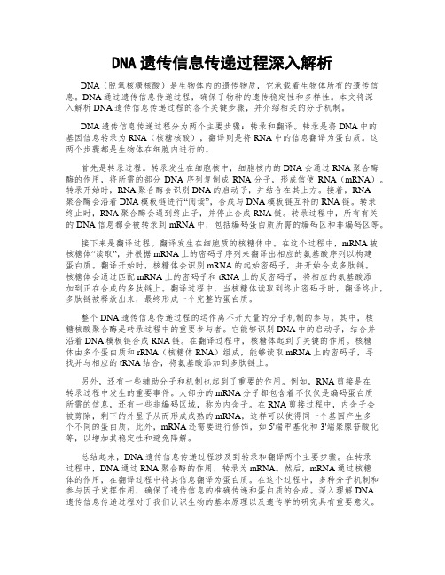 DNA遗传信息传递过程深入解析