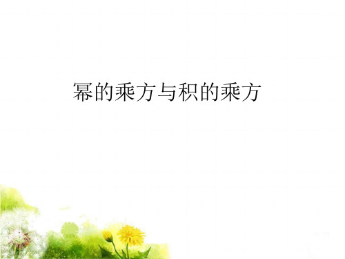 新湘教版七年级数学下册《2章 整式的乘法  2.1 整式的乘法  2.1.2幂的乘方与积的乘方(2)》课件_20