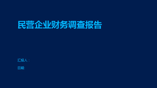 民营企业财务调查报告