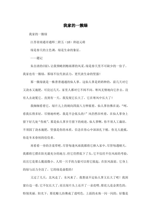 我家的一簇绿_高中高三作文800字