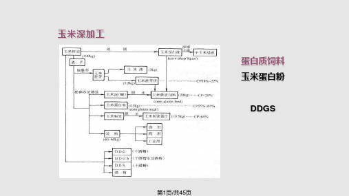 蛋白质饲料PPT课件