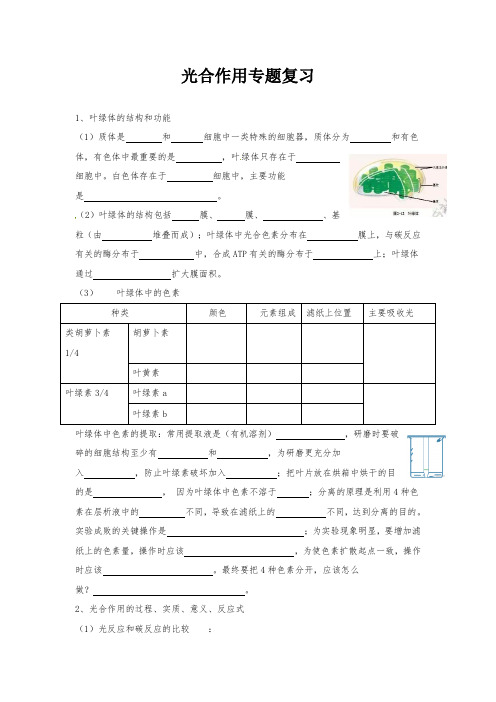 高中生物学考光合作用专题练习